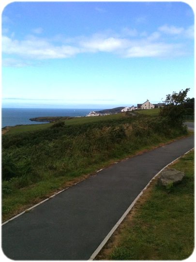 A Path in Ceredigion, near Cliff Hotel in Gwbert